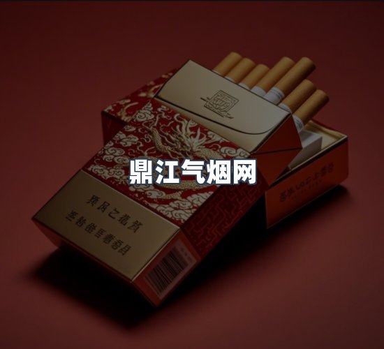 关于鼎江气烟网